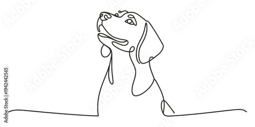 Continuous line drawing of a happy dog looking up with its tongue out on a white background. Vector, illustration