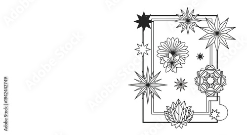 Collection of Various Hand Drawn Floral Elements.