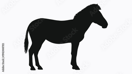 A striking silhouette of a horse standing in profile against a white background