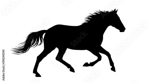 horse silhouette isolated on white