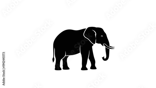 elephant isolated on white