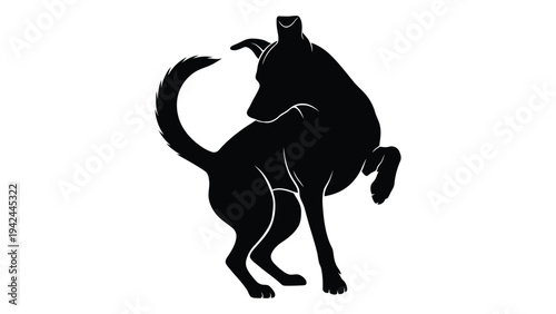 A black silhouette of a dog scratching itself with a hind leg