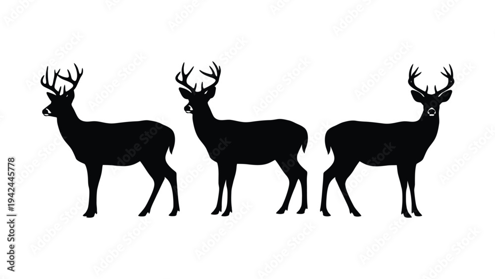 Fototapeta premium Three deer silhouettes stand in a row facing forward with defined antlers