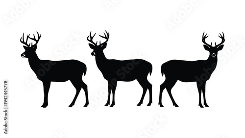 Three deer silhouettes stand in a row facing forward with defined antlers