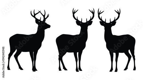 Three majestic deer silhouettes stand in a row showcasing their impressive antlers