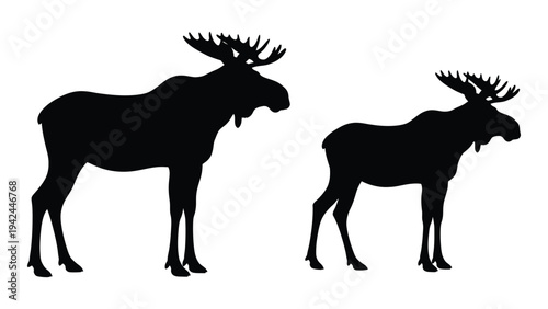 Silhouette of a large adult moose and a smaller juvenile moose standing side by side