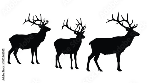 Three majestic deer silhouettes stand in a row showcasing varying antler sizes