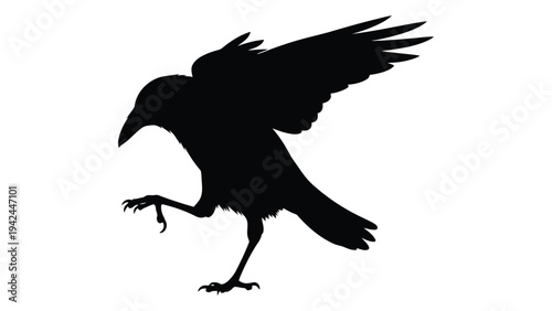 A silhouetted raven perches with one foot raised exhibiting a dramatic profile