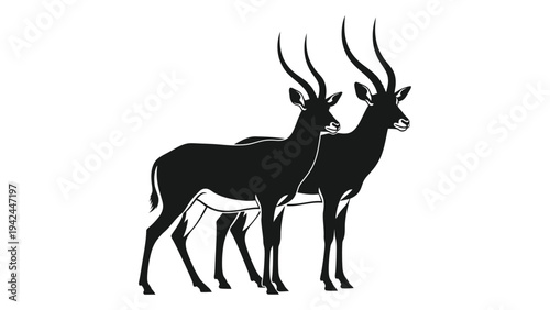 Two impala stand side by side depicted as a striking black silhouette against white