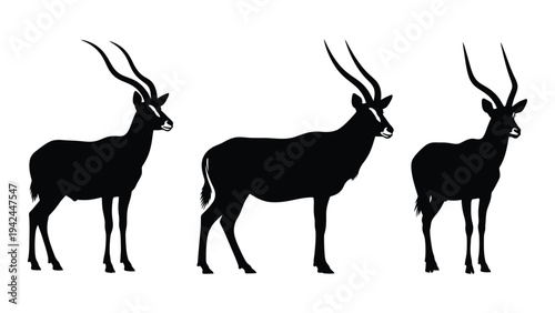 Three impala silhouettes stand in a row showcasing their distinct horned profiles