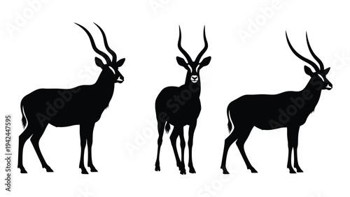 Three impala silhouettes stand in a row facing different directions