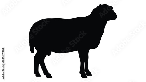 Silhouette of a sheep standing in profile against a white background