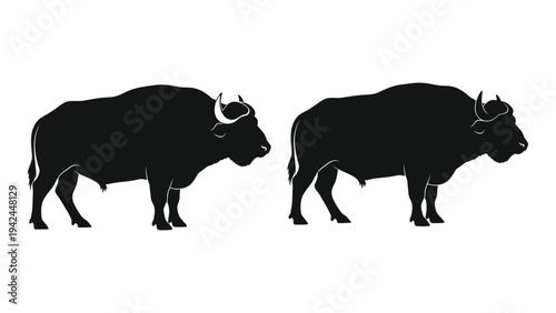 Two bison silhouettes stand facing each other in a simple black and white illustration