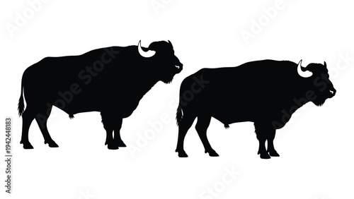 Silhouette of two bison standing side by side against a white background