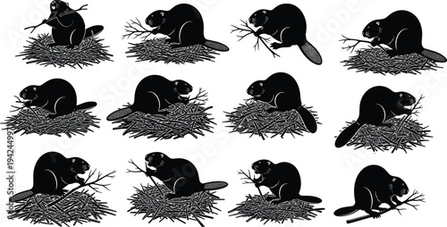 Beaver building dam silhouette collection vector set beaver animal with sticks wood construction wildlife nature rodent isolated illustration