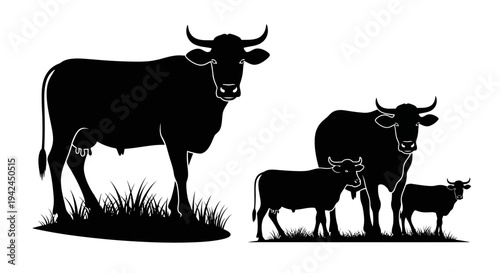 Black silhouettes of cows and calf in grassy field