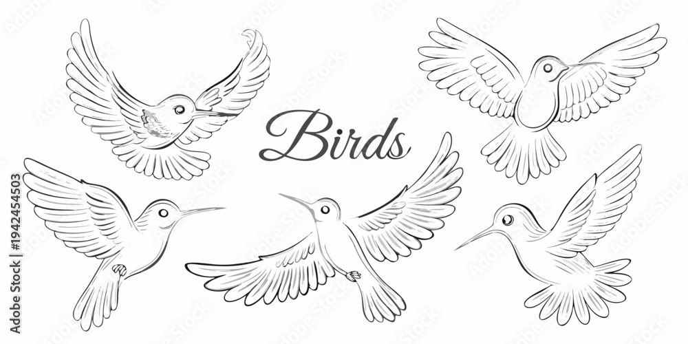 Fototapeta premium A collection of hand drawn birds in flight with elegant cursive lettering