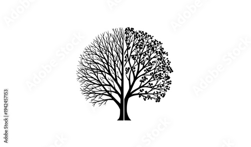Seasonal nature cycle tree silhouette with winter branches and spring blossoms eco concept vector