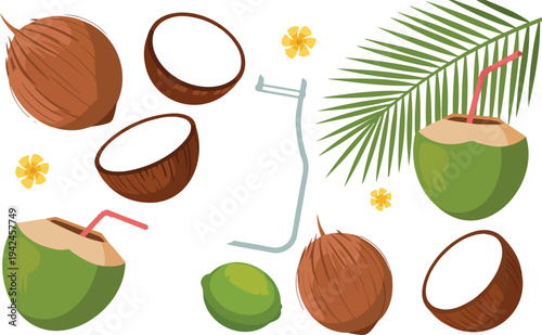 Fresh tropical coconut and lime vector set with palm leaves green coco drinks and brown coconut halves