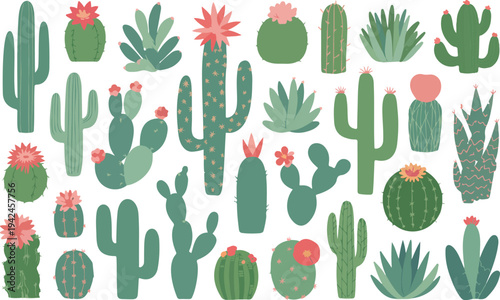 Cactus and succulent vector set with flowering desert plants prickly pear and agave icons for home garden decor