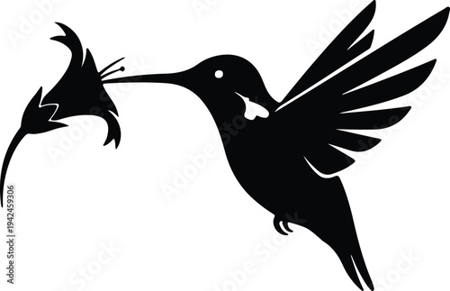 Silhouette hummingbird feeding on exotic flower with detailed wings vector design