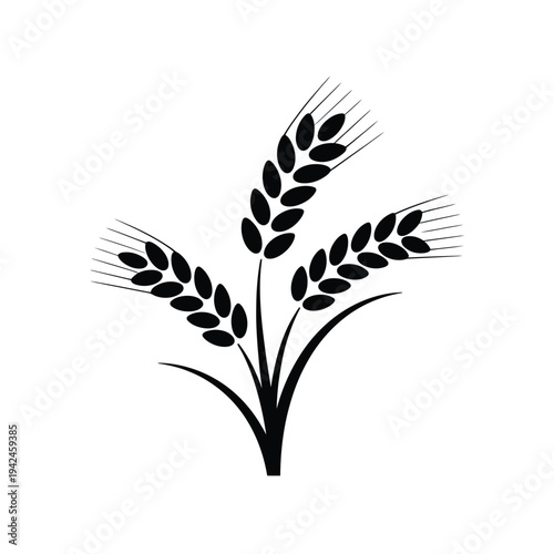 A simple black and white illustration depicting three stalks of wheat
