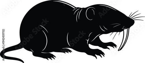 Silhouette mole rat with long incisors on white background vector design