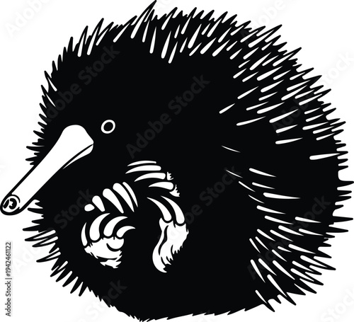 Silhouette spiny echidna anteater animal minimalist black white vector design