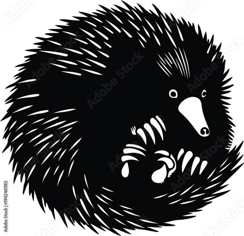 Silhouette stylized echidna spiny anteater animal curled into ball vector design
