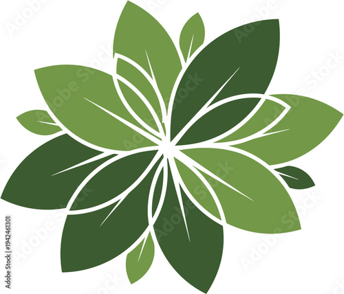 Abstract green floral design resembling a blooming flower with delicate leaves and natural symmetry