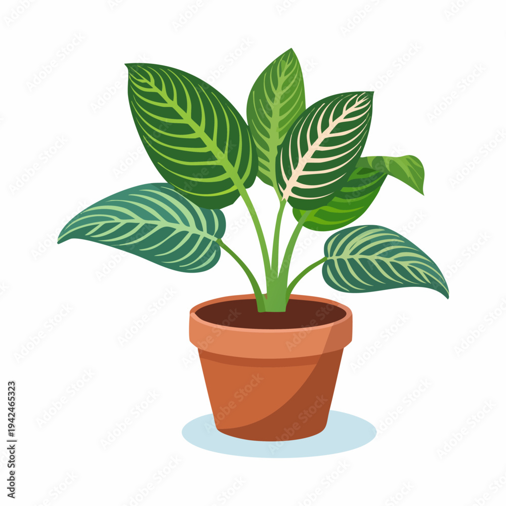 Obraz premium Decorative potted houseplant with striped green leaves