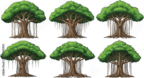 Beautiful banyan tree vector set featuring green tropical ficus trees with hanging aerial roots and thick trunks for nature landscape garden and environment design.