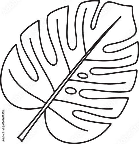 Monstera leaf outline on transparent background tropical plant element