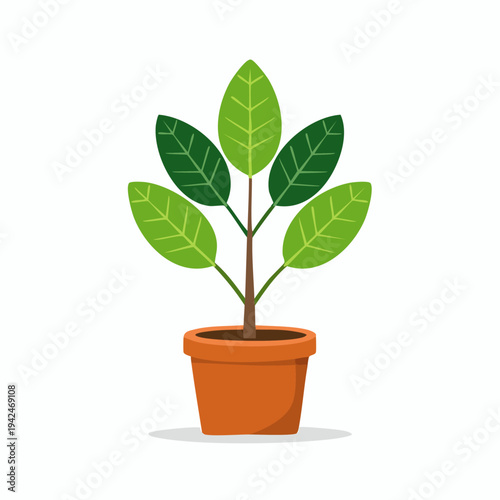 Flat design potted plant with green leaves in terracotta pot