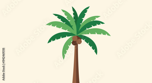 Flat illustration of a tropical palm tree with coconuts