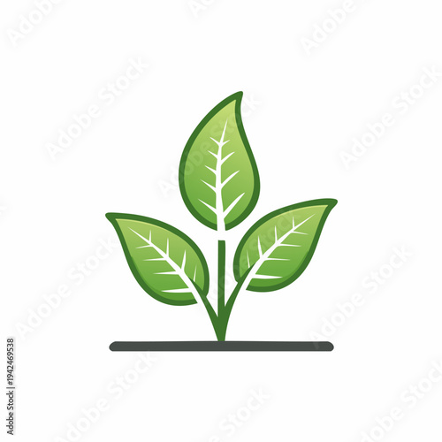 Fresh green plant sprout with three leaves growing from ground