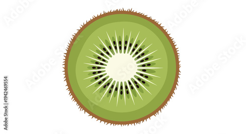 Fresh kiwi fruit slice isolated flat design illustration