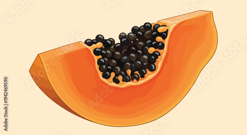 Fresh ripe papaya slice with black seeds illustration