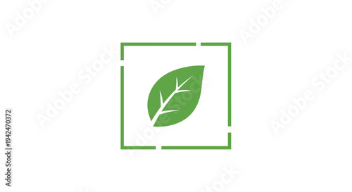 Green leaf icon in incomplete square frame on white