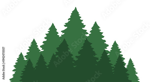 Green pine trees forest silhouette illustration on white background