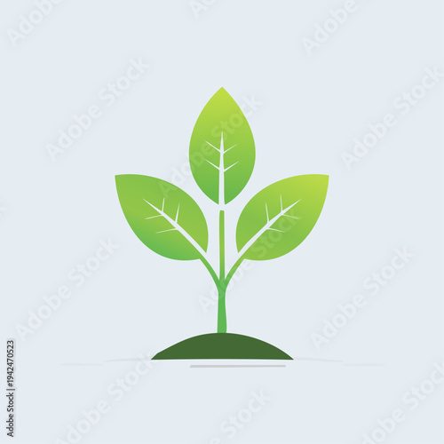 Green plant seedling with three leaves growing from earth