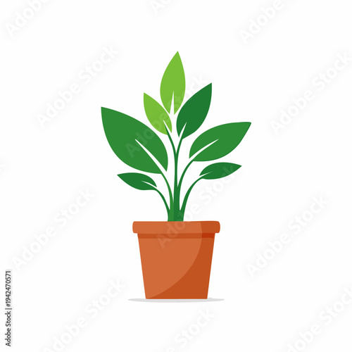 Green potted plant illustration on isolated white background