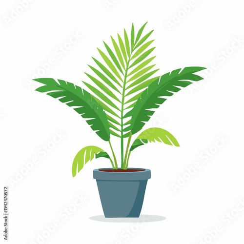 Green potted houseplant with palm leaves on white background