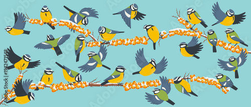 vector drawing birds, blue tit at sea buckthorn branch with berries and snow in winter, hand drawn wildlife illustration