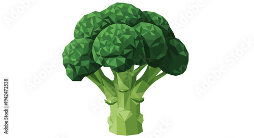 Low poly green broccoli vegetable illustration on white background