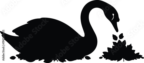Silhouette black swan feeding on lotus flowers serene vector design