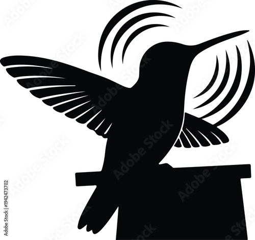Silhouette Hummingbird Feeding from Feeder Vector Design