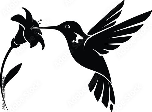 Silhouette Hummingbird Feeding from Flower Elegant Nature Bird vector design