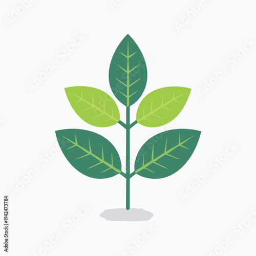Minimalist green plant illustration with stylized leaves on white background