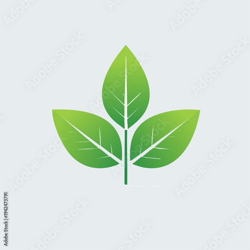 Minimalist green plant leaves vector icon on light background